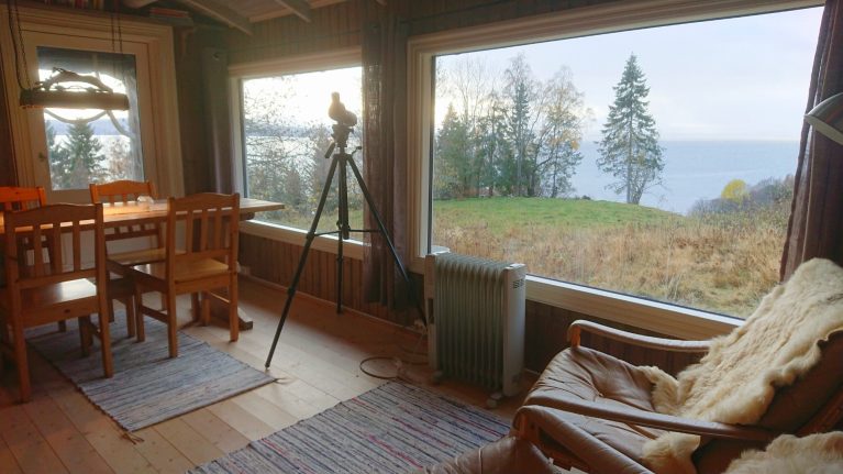 Große Fenster mit Blick auf den Trondheimsfjord. Es gibt Grindaplassen unter Hjellup Fjordbo und sogar ein Fernglas, das Sie benutzen können.