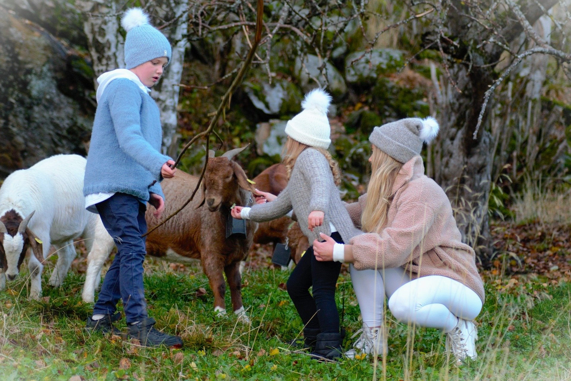 children and adults play with Boer goats.