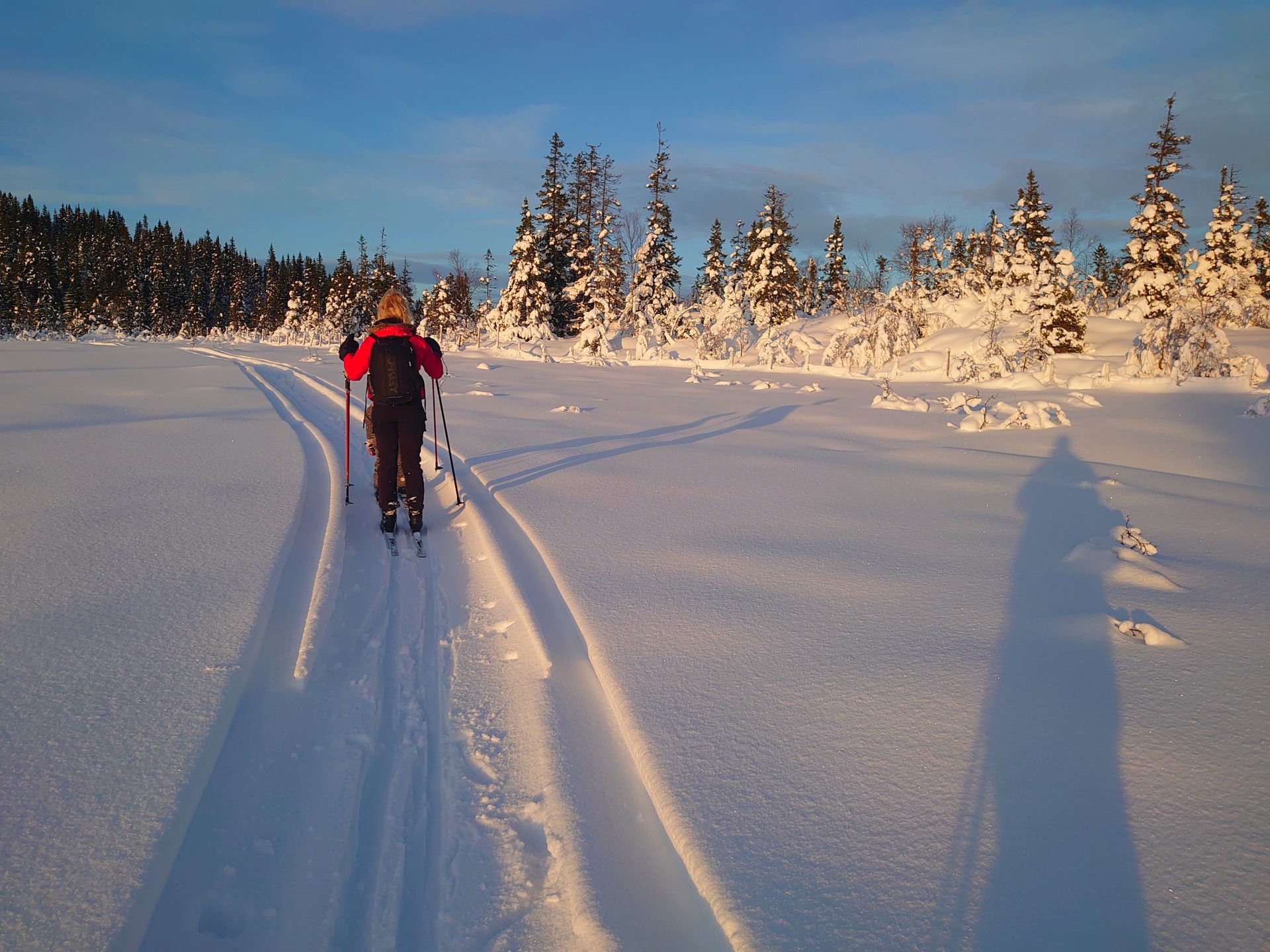 Fosen om vinteren byr på mange muligheter for de som liker å gå på ski.
